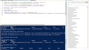 Upgrading a SQL Server Docker from 2017 to 2019