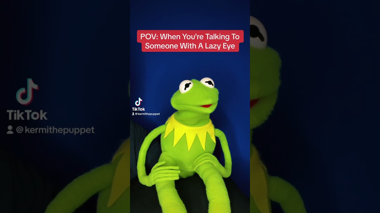 POV: Your Talking To Someone With A Lazy Eye, TIKTOK Meme With Kermit The Frog