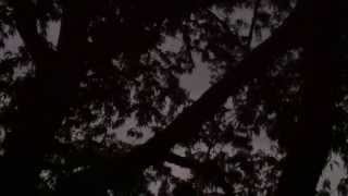 10 minutes of constant lightning! Crazy!