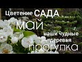 Цветущий майский САД прогулка - обзор сада