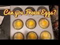 Can you Freeze Eggs?