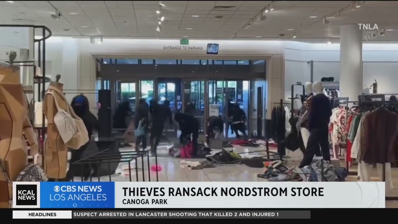 Dozens of People Ransacked Nordstrom in Smash-and-Grab Looting: Police