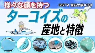 GSTV] Gem University #39 