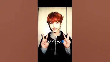 ترند علي ليكس Skz Straykids Kvs Short Stay هانيز 