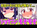 【ゆっくり茶番劇】 孤独の少年の幻想入り13 【単発/アニメ/アニメコント/藤原妹紅/蓬莱山輝夜】