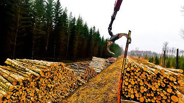 Loading birch pulpwood with Palfinger Timber Crane