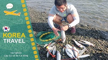 Câu Cá và Ăn Cá Sống tại Hàn Quốc
