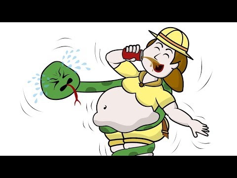 Alex the Explorer in The Jungle - Funny Doodles Animation