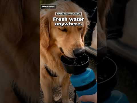 One for the car, one in the bag🐶💧
