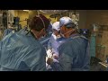 Primer trasplante de un riñón de cerdo a un paciente vivo | AFP