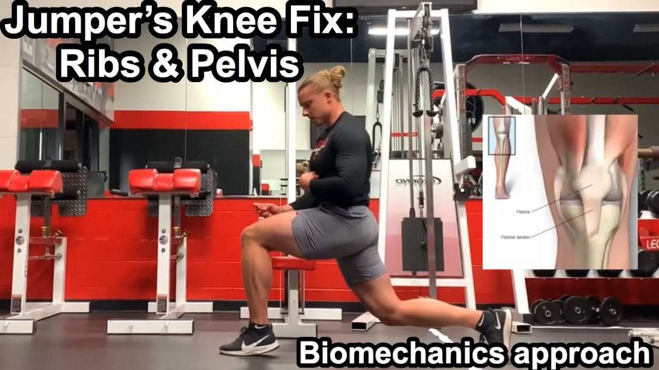 Jumper's Knee Ribcage and Pelvis Biomechanics (Fix Patellar Tendon