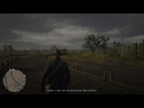 Ms Fellowes Rdr2 Red Dead Redemption 2 - Hector Fellowes - YouTube