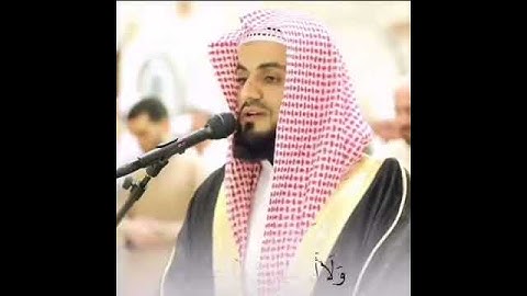 سورة الكافرون ، القارئ رعد الكردي ، تلاوة خاشعة