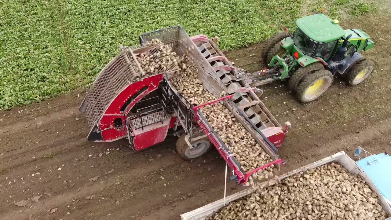 2021 Sugar beet harvest YouTube