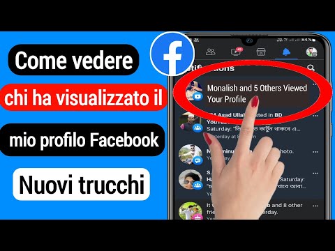 Video: Chi segue su Facebook?