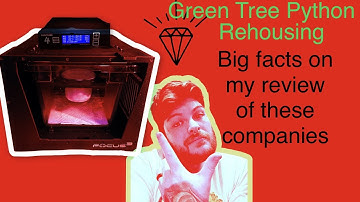 Green Tree Python rehousing Focus Cubed Habitats. Herpstat upgrade. David Brahms Perches full review