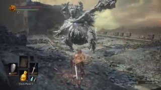DARK SOULS™ III Stray demon and Havel`s ring