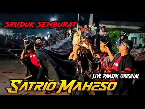 Banteng SATRIO MAHESO Kerasukan Demit Ganas Sruduk Penonton Hingga Jebol Pagar