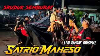Banteng SATRIO MAHESO Kerasukan Demit Ganas Sruduk Penonton Hingga Jebol Pagar