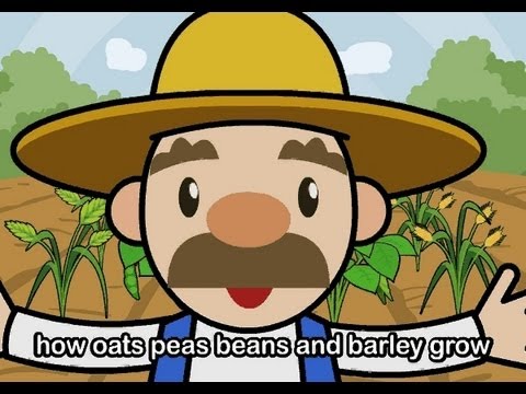 Muffin Songs - Oats Peas Beans and Barley Grow  | nursery rhymes & children songs with lyrics