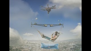 hammock birds flying in sequence 2