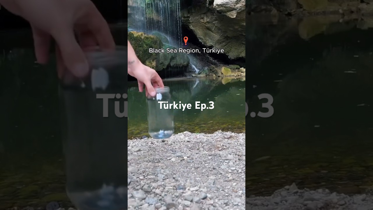 764 days ago, I made an ecosystem!