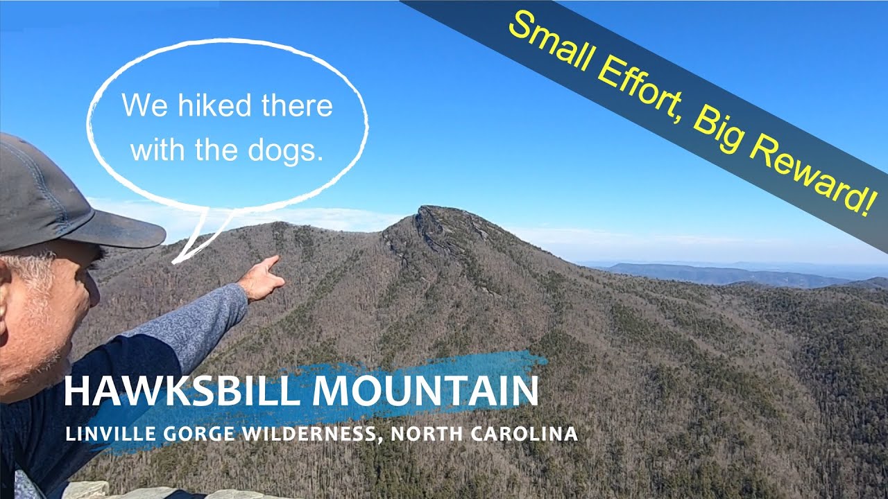 Поход по горной тропе Хоксбилл с собаками | Ущелье Линвилл | Национальный лес Писга
