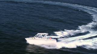 The Grady-White FREEDOM 275