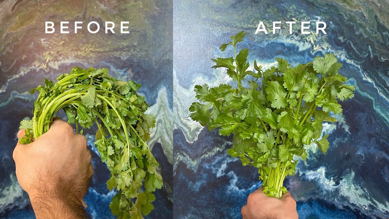 Trick to Make Herbs Fresh Again & Cooking Tips to Make Herbs Last Longer YouTube