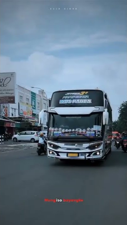 story wa bus tunggal jaya kids panda(white) sound kok iso yo X pinggal 🎶