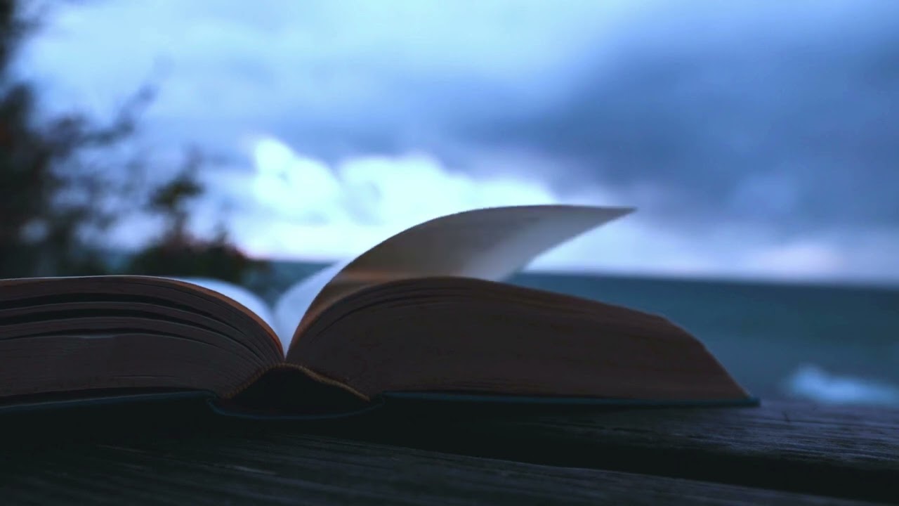 The Vanished Library Beneath the Sea – A Lost World Revealed