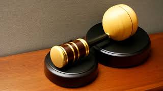 Burger King Corp. v. Rudzewicz (1985) Overview | LSData Case Brief Video Summary