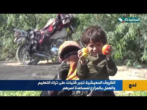 فتيات يتركن التعليم والعمل بالمزارع لمساعدة اسرهم بسبب الظروف المعيشية في لحج