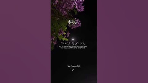 سورة البقرة قاري عبد الرحمن مسعد بصوت يلامس القلب❤️🫀