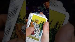#tarot #fortunetelling #spirituality #tarotreading #fortunecards #fortune #future #tarotreader #love