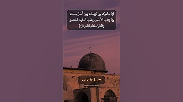 سورة الأحزاب الآية ١٠ الى ١٢ بصوت الشيخ محمد صديق المنشاوي