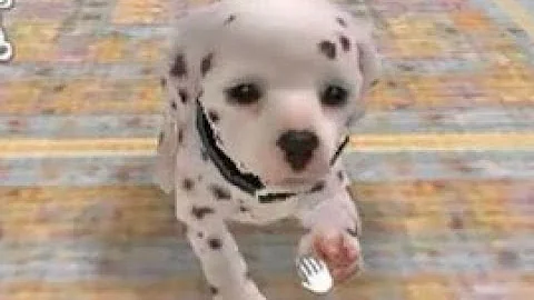 Nintendogs: Dalmatian & Friends Playthrough Part 2