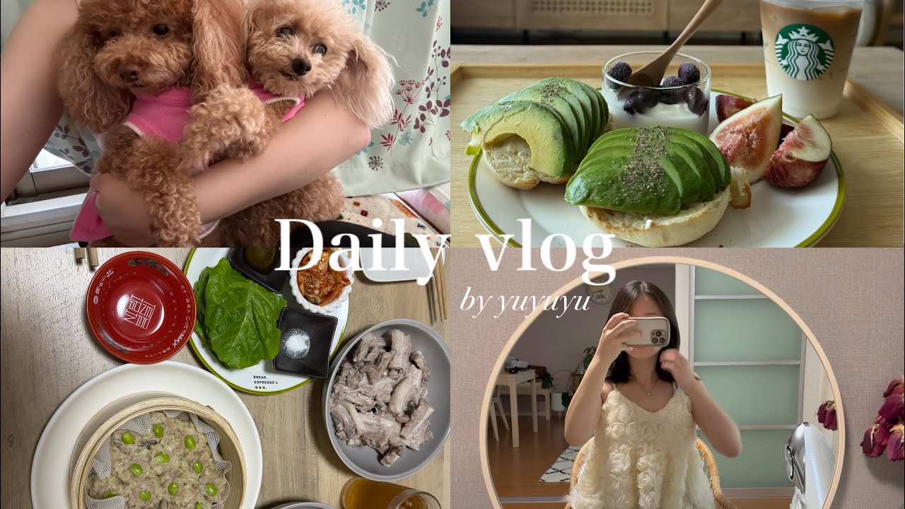 《vlog》社会人の5日間⌇せいろ蒸し⌇川遊び⌇コストコ⌇社会人のお勉強