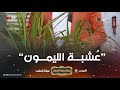 هل تعرفون عشبـــة الليمون وعلاقتها بالليمون شاهدوا مع المهندس الزراعي عبد_الحميد_شيخي mp3