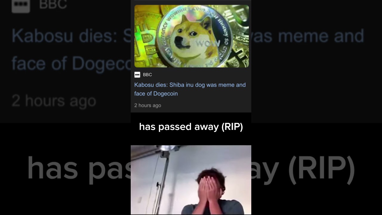 Doge Tribute 