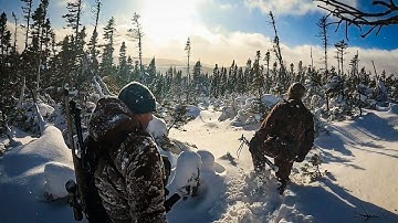 ERIC MOOSE HUNT: Chasing BIG BULLS in the Snowy Newfoundland Woods! 