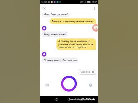 шутки про алису. алиса я сейчас. алиса я хочу том. алиса я хочу том. смешные переписки с алисой.