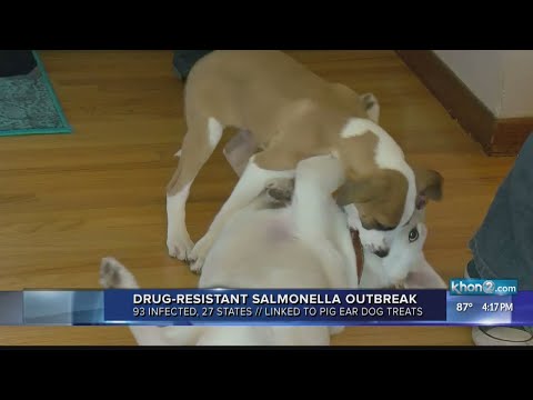 Video: Jr. Texas Taffy Pet Treats Teruggeroepen Vanwege Mogelijke Blootstelling Aan Salmonella