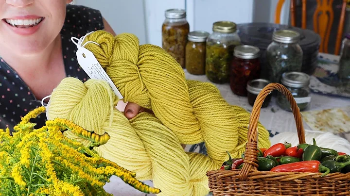 Preserving the harvest & dyeing wool yarn with gol...