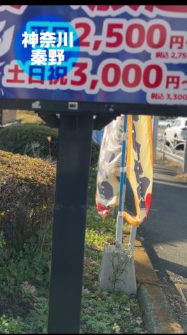 【神奈川】市場直送 刺身食べ放題 漁港食堂 秦野店 #海鮮食べ放題 #神奈川おすすめ #コスパ最強