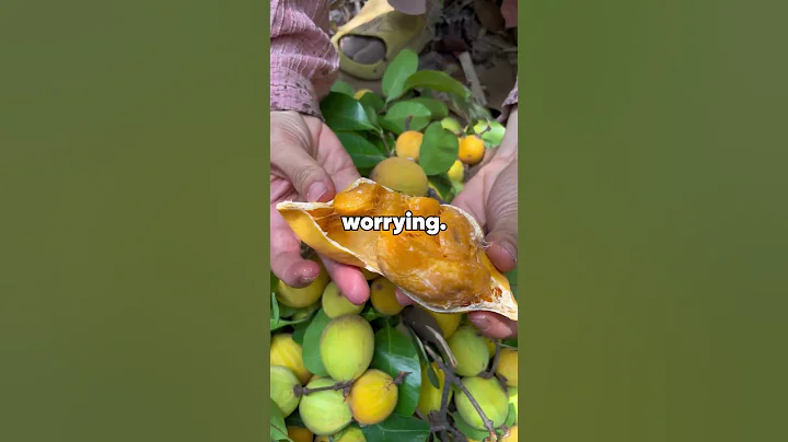 My parents made me think I was disabled for 17 years. Then they tried to silence me. thumbnail