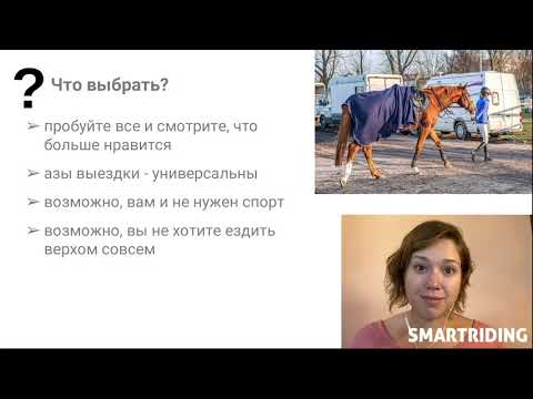 Верховая езда vs конный спорт. Урок №1 мини-курса "Конный спорт - с чего начать?"