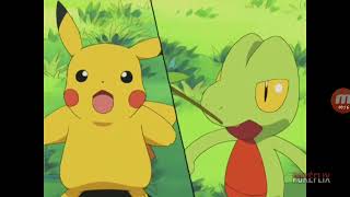 Nuzleaf Laughing This Is So Adorable An Valentines Gift For Cotton The Cheetah