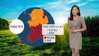 내일 한여름 더위 (2016-05-17) / YTN 웨더앤라이프