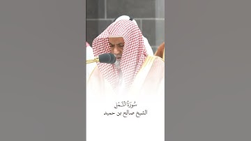 سورة النمل | الشيخ #صالح_بن_حميد